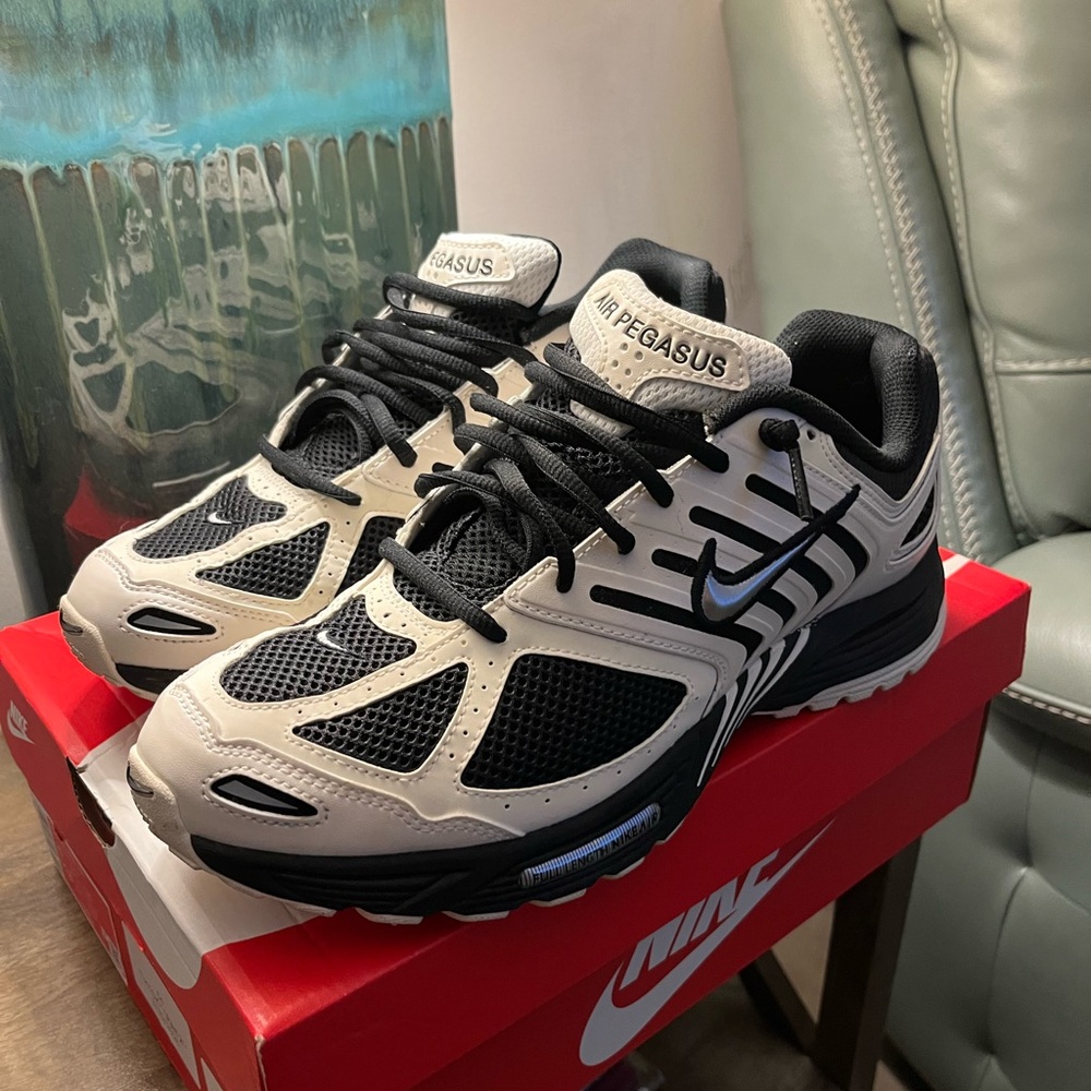 Nike Air Pegasus Men's Running Shoes